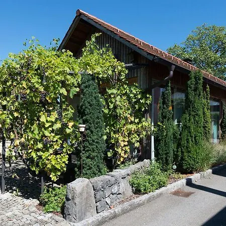 Ferienhaus Zur Weinlaube * ドルンビルン
