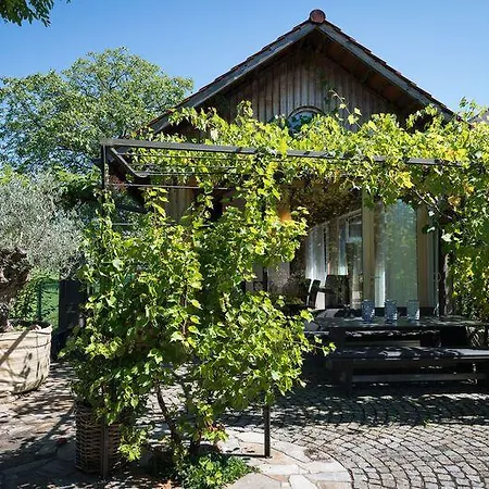 別荘 Ferienhaus Zur Weinlaube *