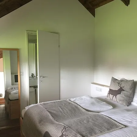 Ferienhaus Zur Weinlaube * ドルンビルン